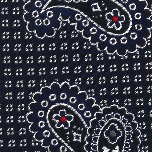 Corbata Estrecha Paisley Azul Marino y Negra