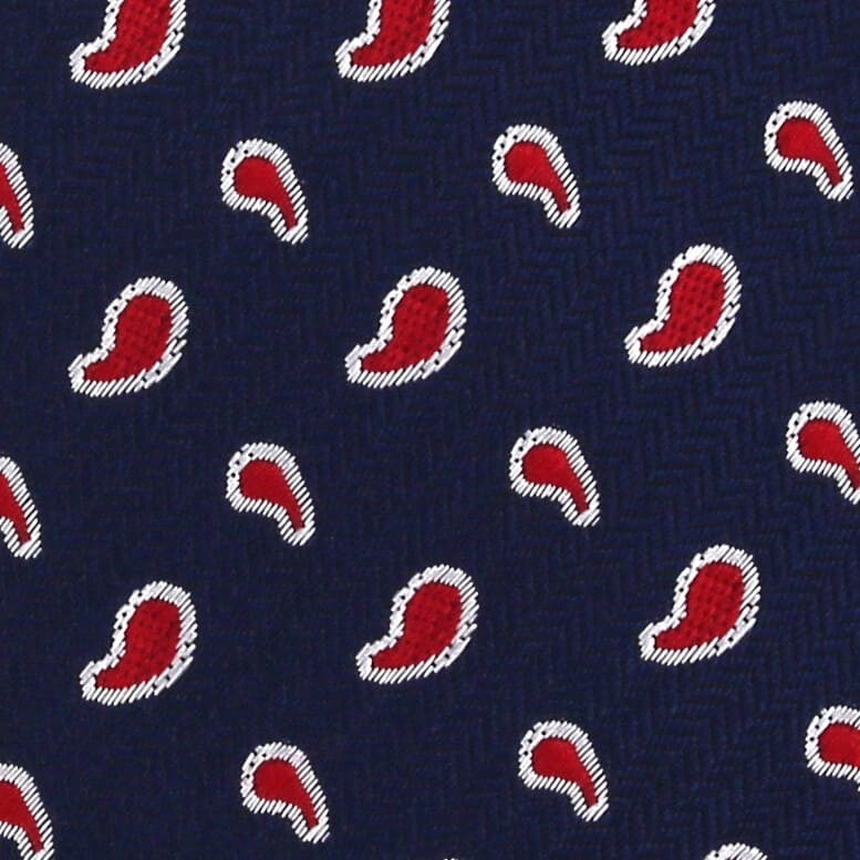 Corbata Estrecha Paisley Azul Marino y Rojo