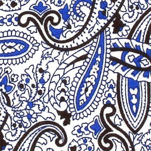 Corbata Estrecha Paisley 1