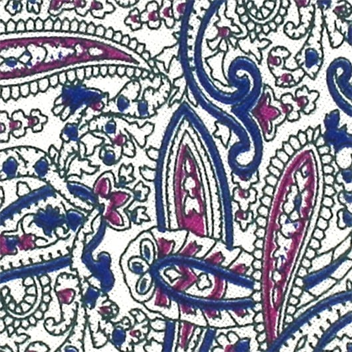 Corbata Estrecha Paisley 2