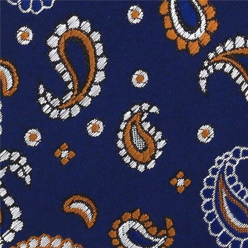 Corbata Estrecha Paisley Azul Marino