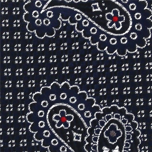 Corbata Estrecha Paisley Azul Marino y Negra