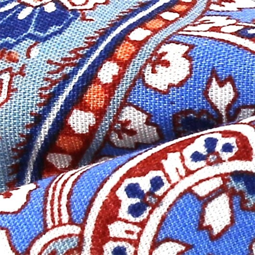 Pajarita Paisley Azul