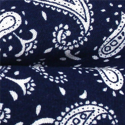 Pajarita Paisley Azul y Blanca