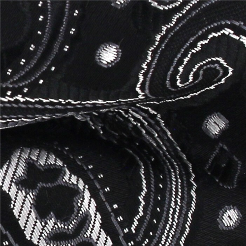 Pajarita Paisley Negra y Plata
