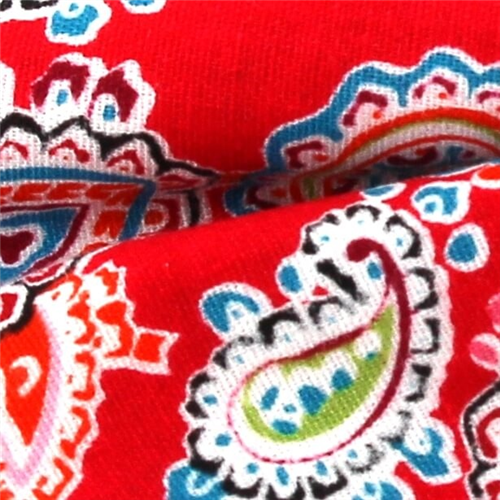 Pajarita Paisley Roja