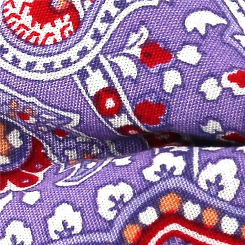 Pajarita Paisley Violeta