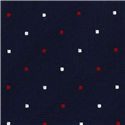 Corbata Estrecha de Lunares Azul Marino