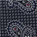 Corbata Estrecha Paisley Azul Marino y Negra