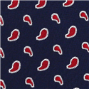 Corbata Estrecha Paisley Azul Marino y Rojo