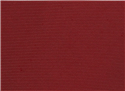 Corbata Lisa Roja Raya Horizontal