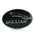 Gemelos Jaguar