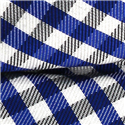 Pajarita Cuadros Vichy Azul y Blanca