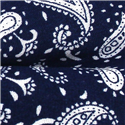 Pajarita Paisley Azul y Blanca