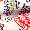 Pajarita Paisley Blanca