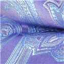 Pajarita Paisley Lila y Celeste