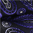 Pajarita Paisley Negra y Morada