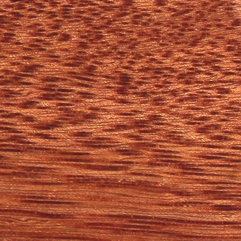 Pajarita Madera Lisa