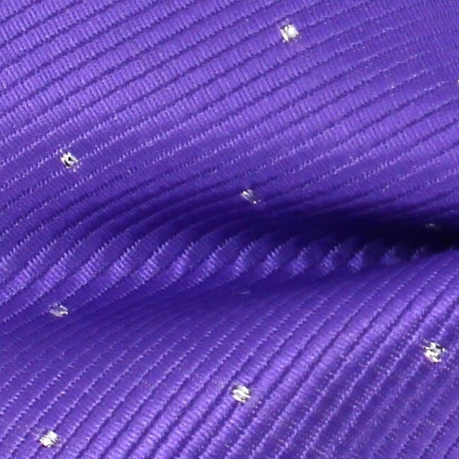 Pajarita Violeta Puntos Brillantes