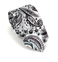 Corbata Estrecha Paisley Negra y Blanca
