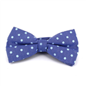 Pajarita Oxford Lunares Azul