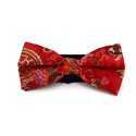 Pajarita Paisley Brillo Roja