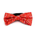 Pajarita Paisley Brillo Roja