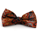 Pajarita Paisley XL Naranja