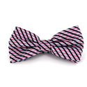 Pajarita Rayas Brillante Fucsia y Lila