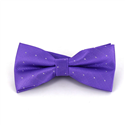 Pajarita Violeta Puntos Brillantes